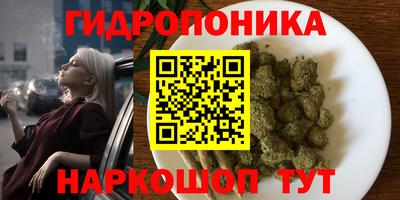 ПСИЛОЦИБИНОВЫЕ ГРИБЫ Свободный